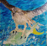 aguila pescadora