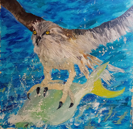 Aguila pescadora