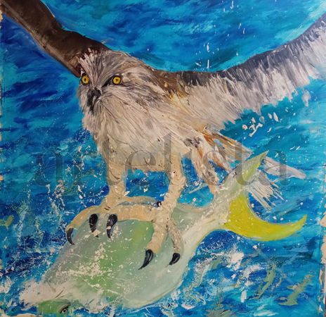 Aguila pescadora