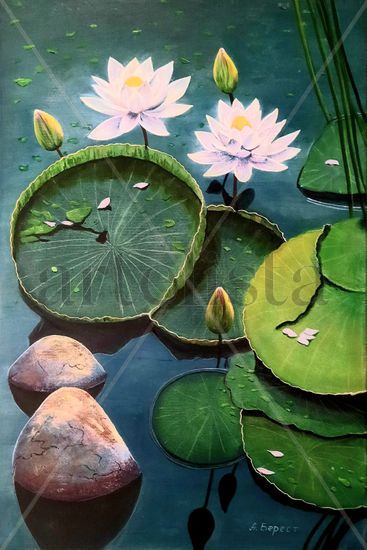 Water Lilies Oil Canvas Landscaping