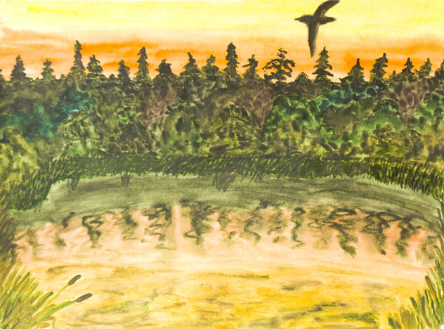 Sunet, lake and forest with flying bird 1