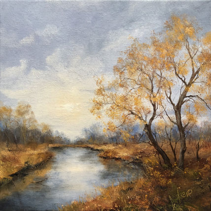 Bosque Paisaje Otoño