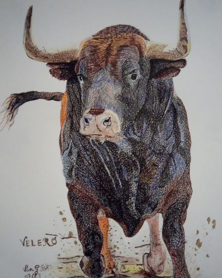 El Toro Velero. Otros Lienzo Animales