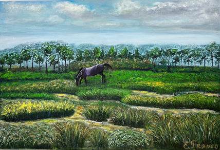 Llanura salvaje