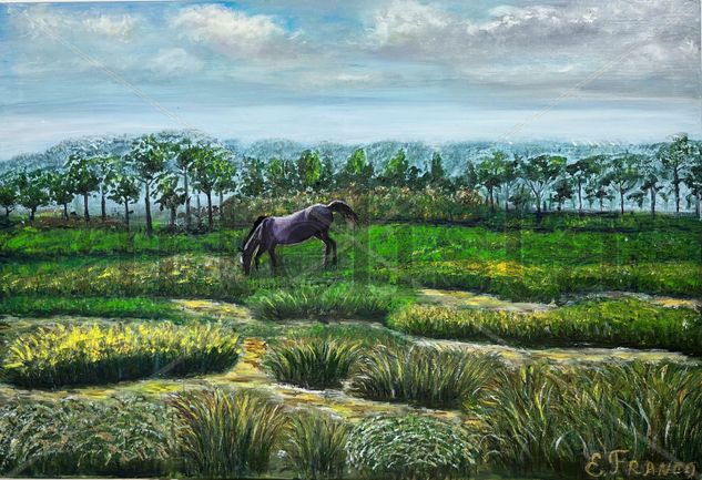 Llanura salvaje Oil Canvas Landscaping