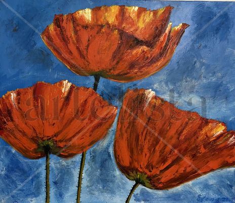 Amapolas