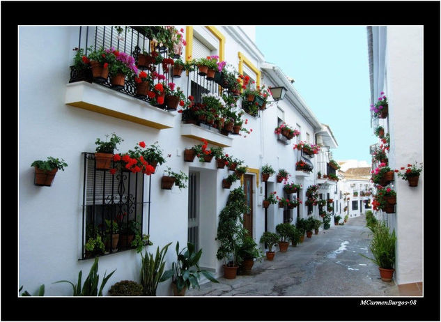 Calle Maestra Ayala Otras temáticas Color (Digital)