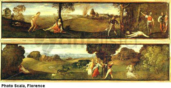 The Wood of Polydorus and Birth of Adonis