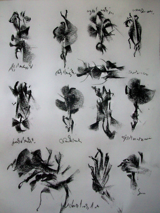 EXTRAÑAS FORMAS DE LA NATURALEZA