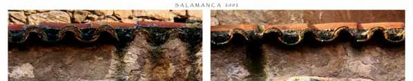 Imagen de portada