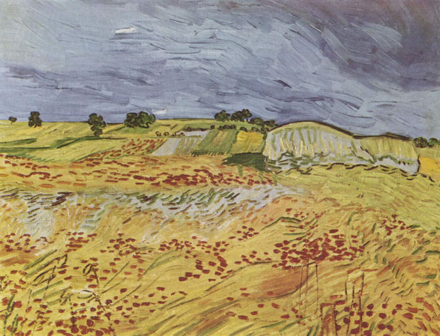 Paisaje con cielo oscuro