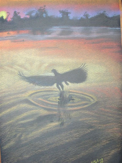 Vuelo nocturno