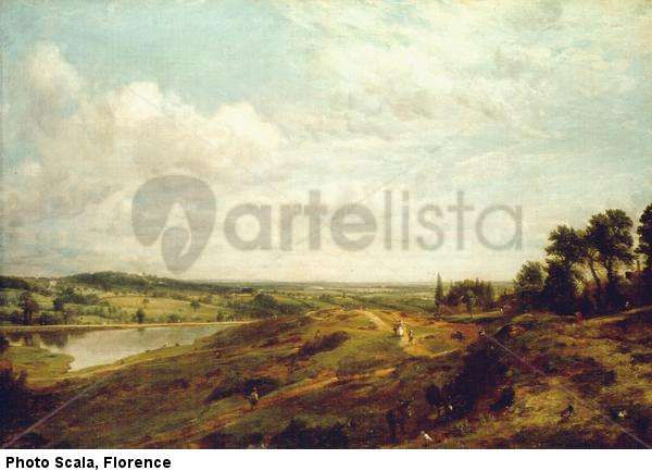Hampstead Heath