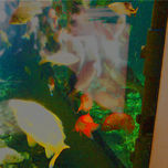 oceanografico  y   otras thumbnail 1