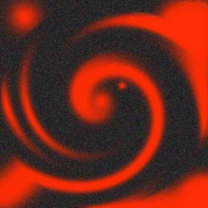 Elicoide negro