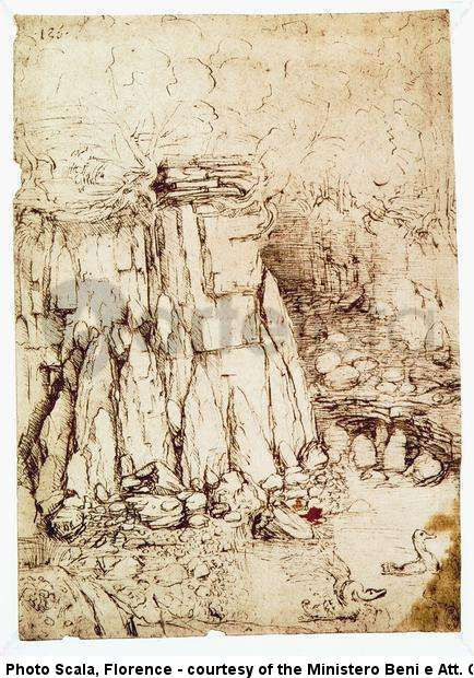 Rocas con aves acuáticas, probablemente estudio para la Madonna delle Rocce (Virgin of the Rocks)