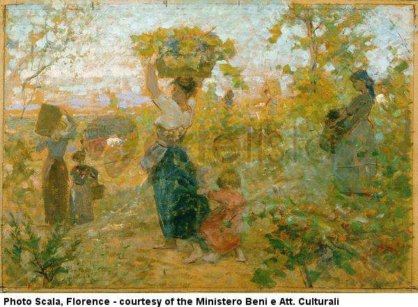 The Grape Harvest