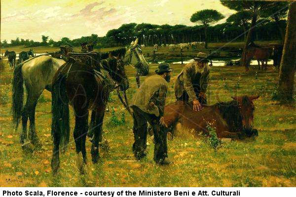 Caballo enfermo Otros