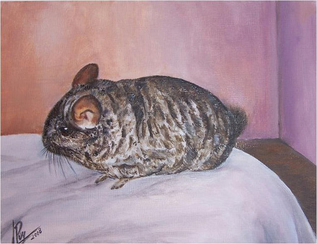 Chinchilla Oil Canvas Portrait