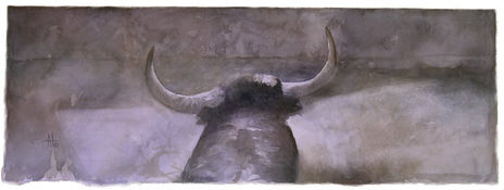 Toros de agua i