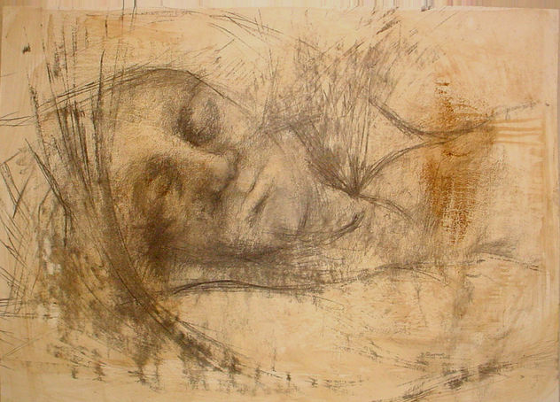 347-rostro, nogal , lineal