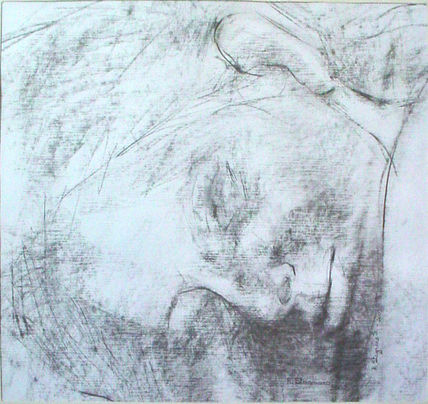 368-rostro m...