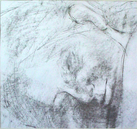 368-rostro m...