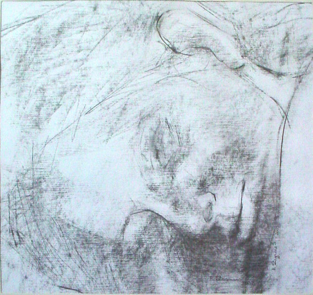 368-rostro m pequeña, lìnea ,dormida,B.N.
