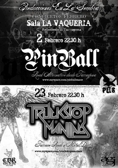 PINBALL-TRUCKSTOP VAQUERIA