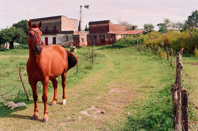 Cuidador de mi estancia 