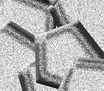 celulosa