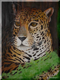 Leopardo