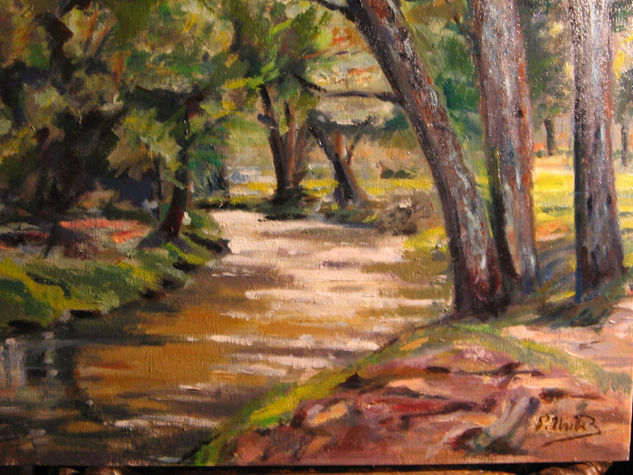 rio en vinuesa Oil Canvas Landscaping