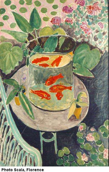 Goldfish Others
