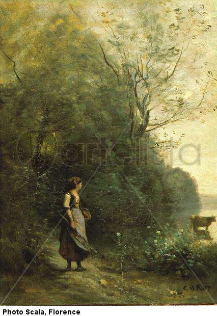 In the Wood