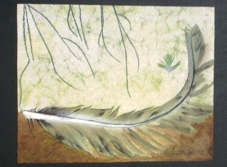 PLUMA POR LA BRISA