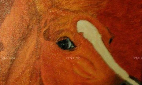 CABALLOS