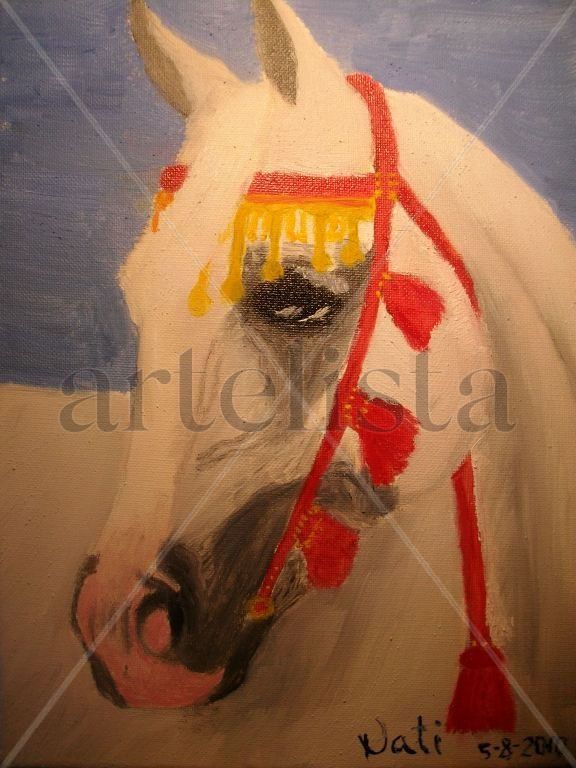 CABALLO ÁRABE TORDO