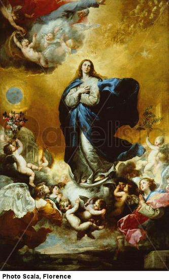 Immaculate Conception Others