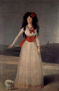 Maria Teresa Cayetana de Silva, Duchess of Alba