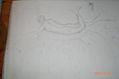 boceto
