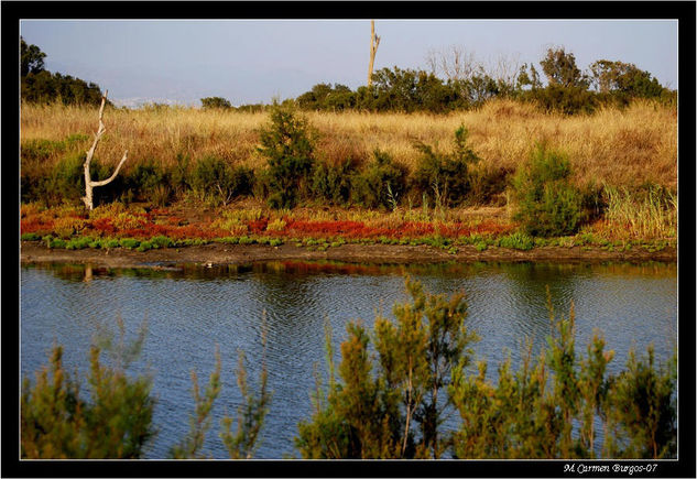 Rojo Nature Color (Digital)