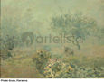 Mist