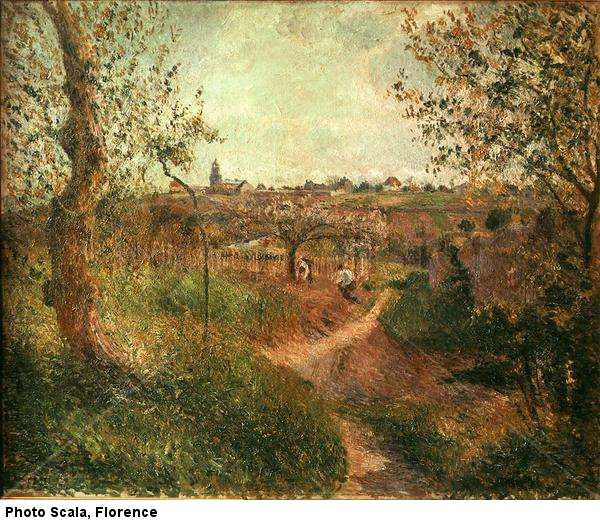 Path among the Fields Landscaping