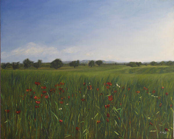 Amapolas Oil Canvas Landscaping