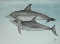 Delfines