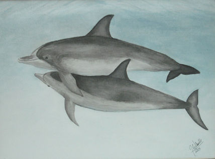Delfines