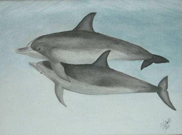 DELFINES Ink Paper Animals