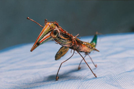 Personaje-insecto 1