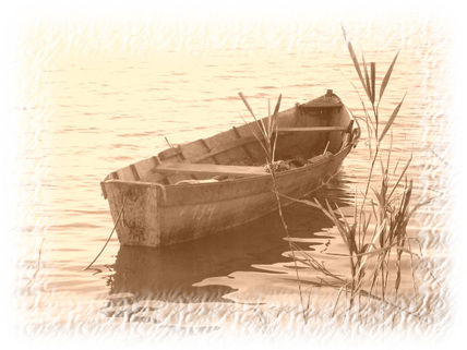 Bote